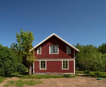 Красный домик рядом с лесом
