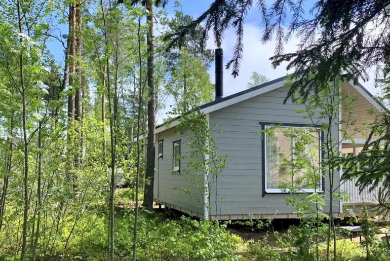 Дом в сосновом лесу под Санкт-Петербургом