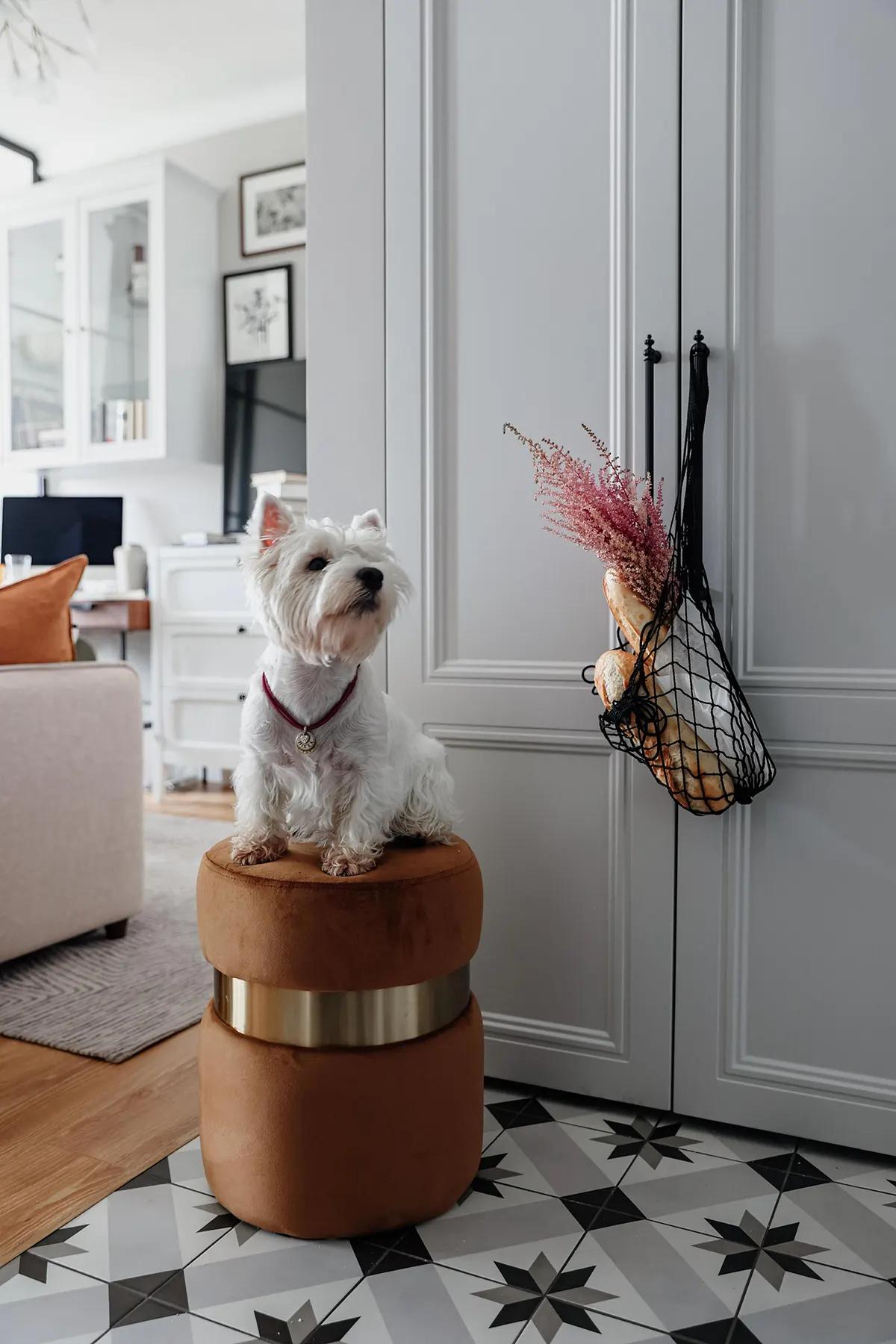 Белый терьер сидит на коричневом пуфе La Redoute у двери, рядом сетка с багетом