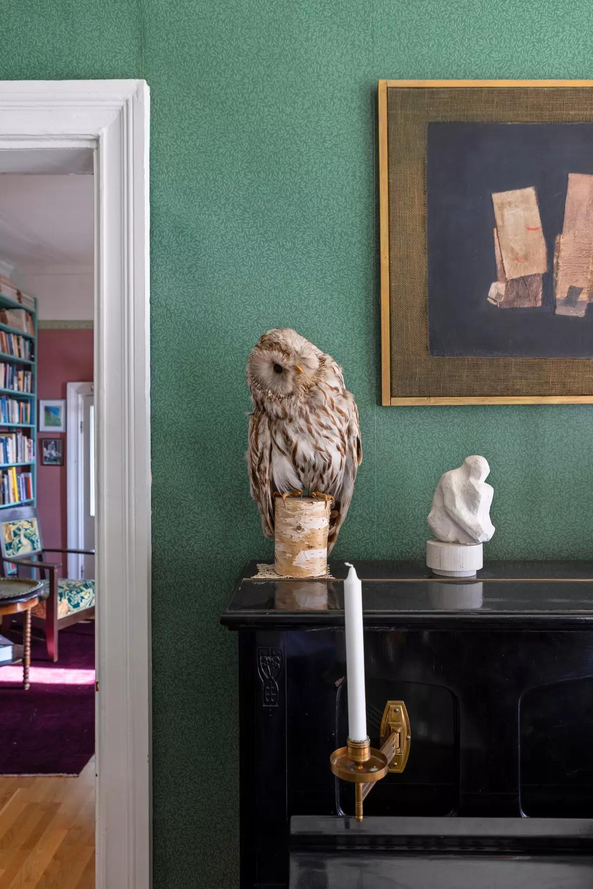 Чучело совы на черном пианино 