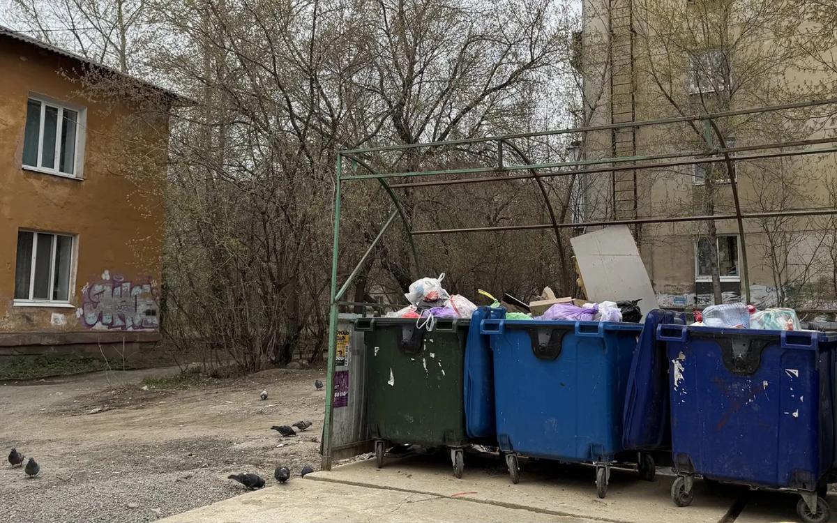 Мусорные баки в российском дворе